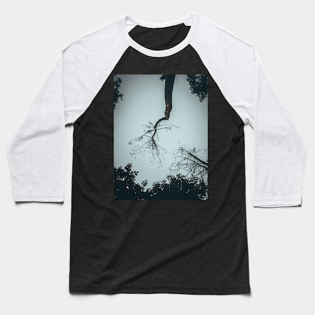 Tree Baseball T-Shirt by Esa Anggit Alexandria